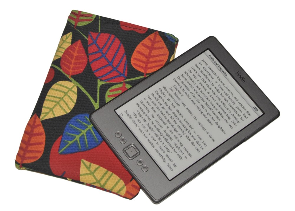 Kindle med fodral (Foto: Mr J)