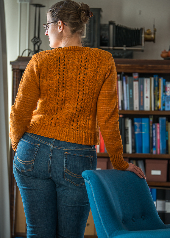 JHEDIN_2015_6039_low