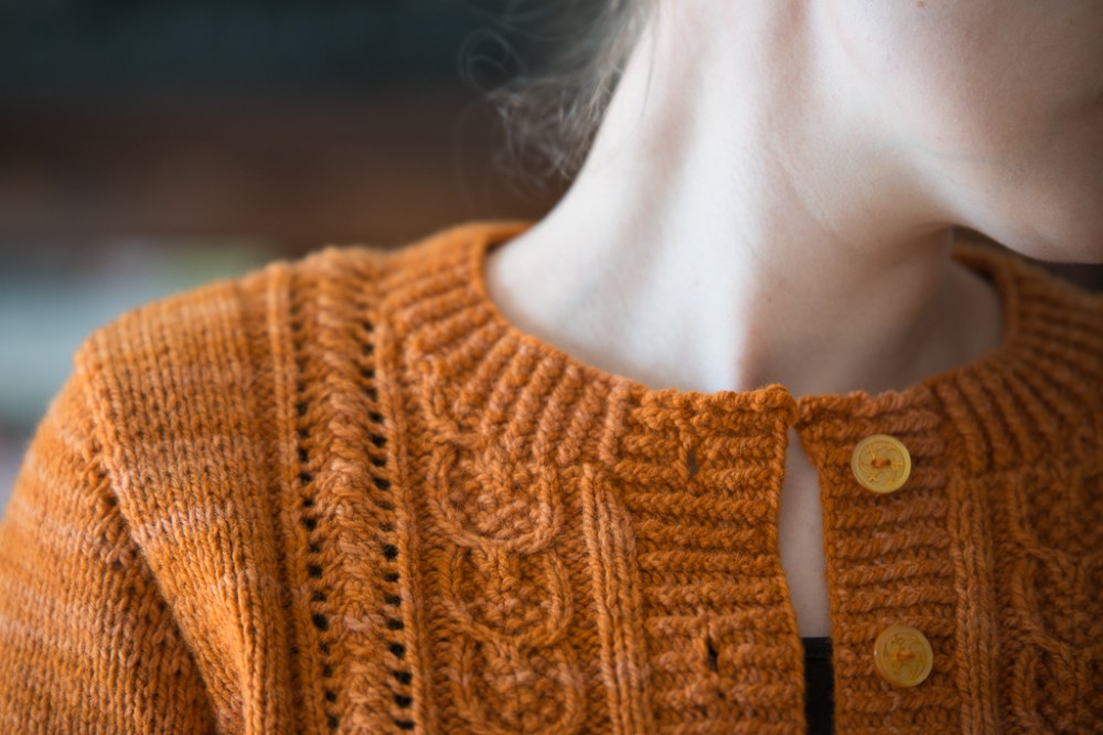 JHEDIN_2015_6049_low