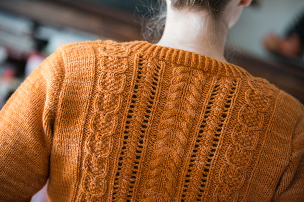 JHEDIN_2015_6051_low