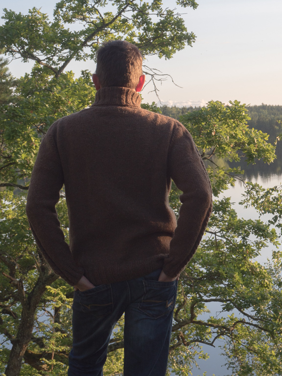 JHEDIN-2015.07.20-2225-2S