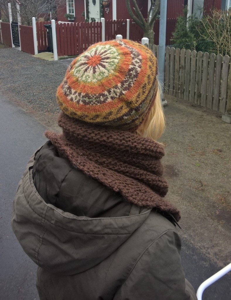 WP_20151228_12_36_03_Pro