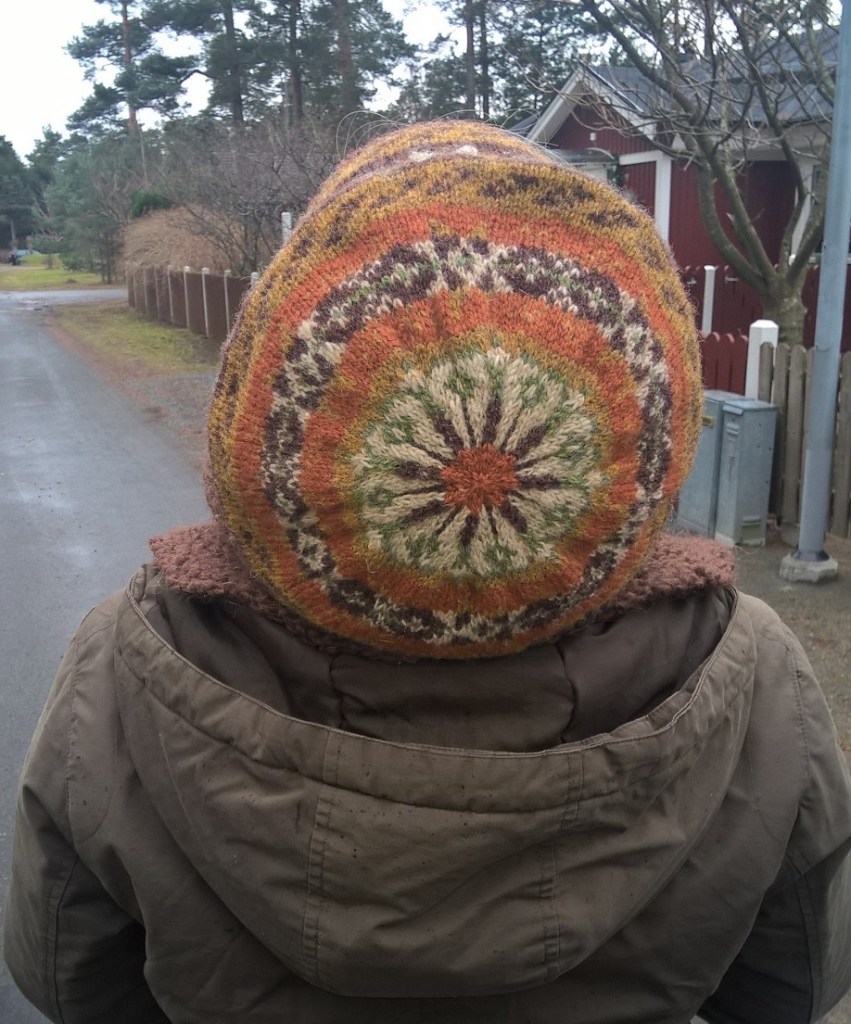 WP_20151228_12_36_30_Pro